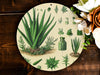 a plate with a picture of a succulent plant on it