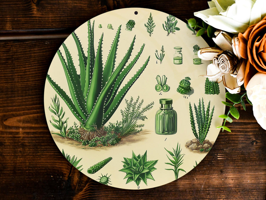 a plate with a picture of a succulent plant on it