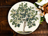a plate with a picture of a tree on it