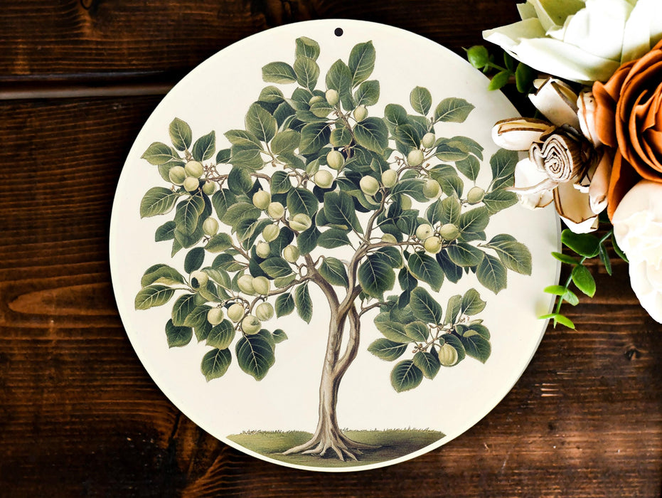 a plate with a picture of a tree on it