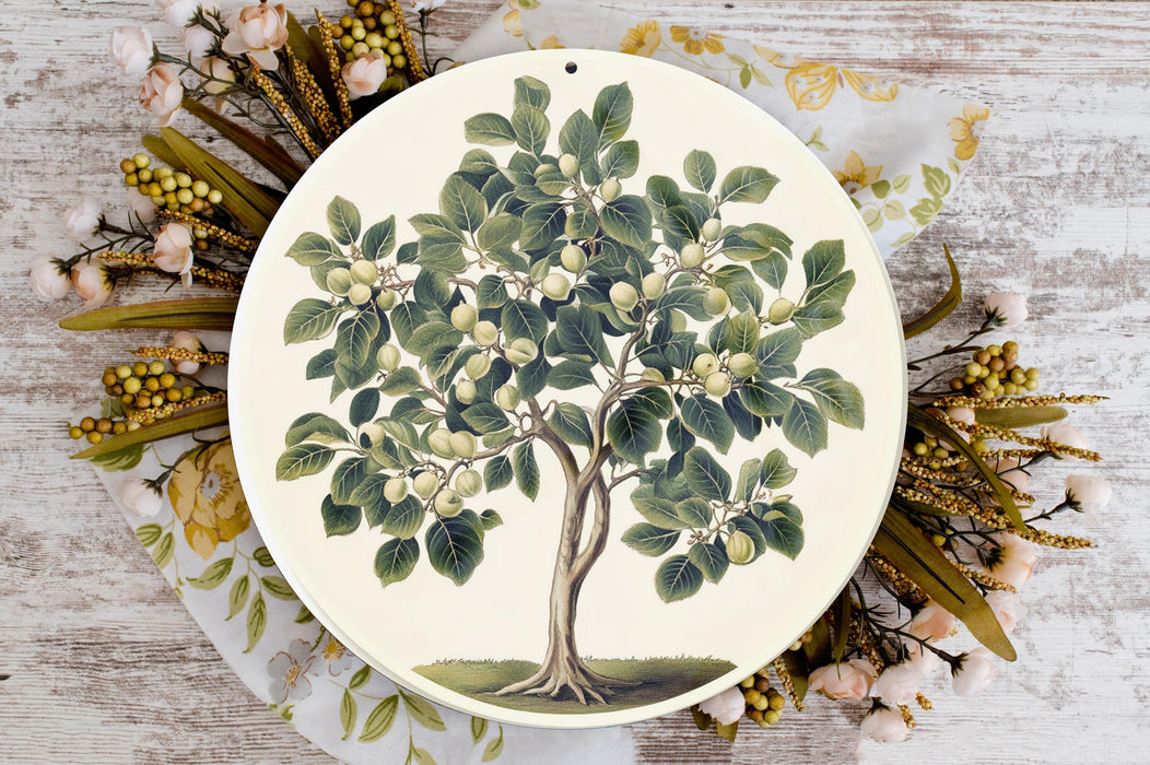 a plate with a tree painted on it