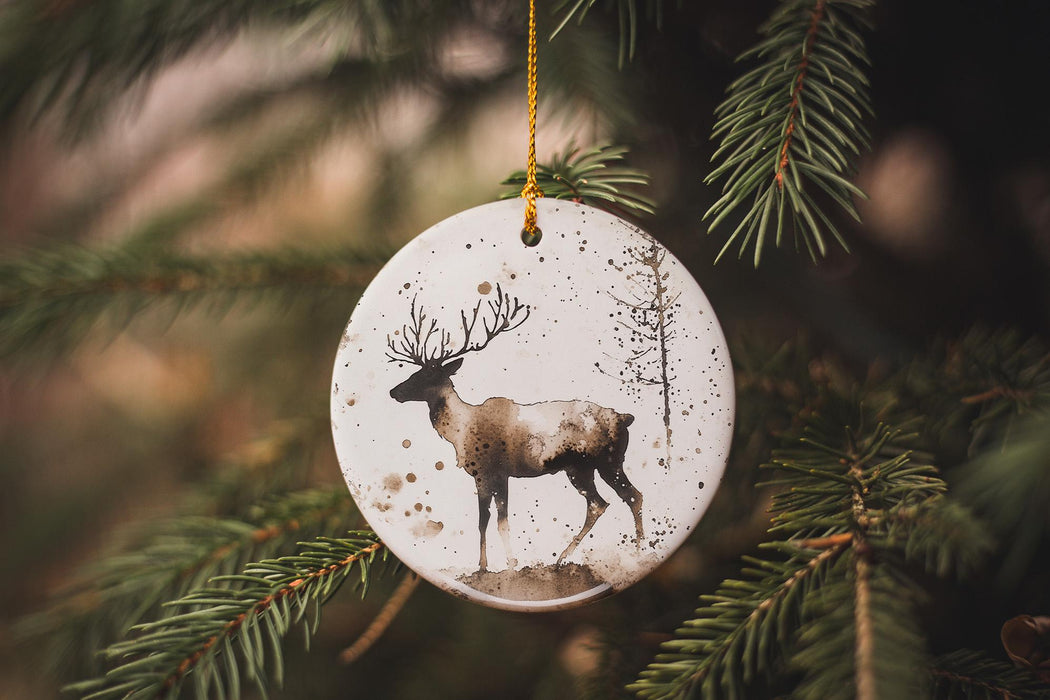 a christmas ornament hanging from a tree