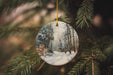 a glass ornament hanging from a christmas tree