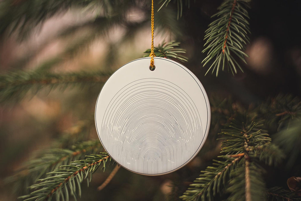 a white ornament hanging from a christmas tree
