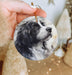 a hand holding a round ornament with a picture of a dog