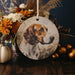 a picture of a dog hanging from a string
