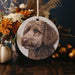 a picture of a dog hanging from a string
