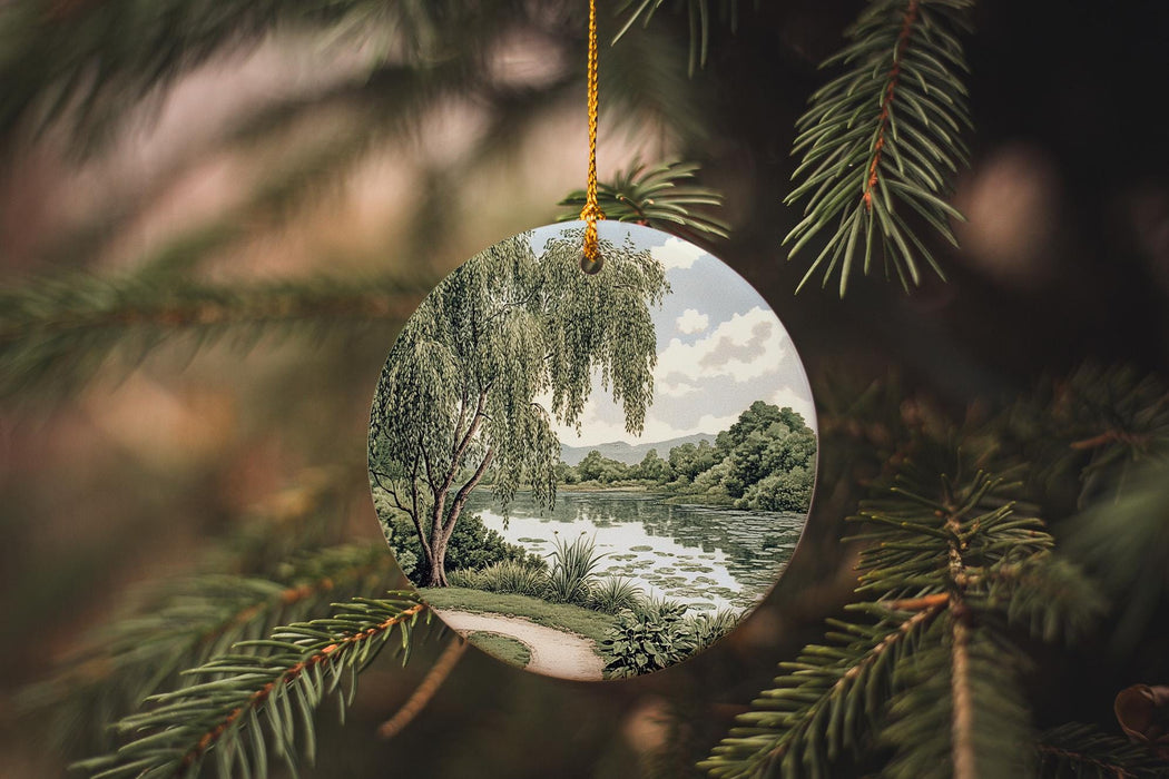 a christmas ornament hanging from a tree