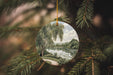 a christmas ornament hanging from a tree