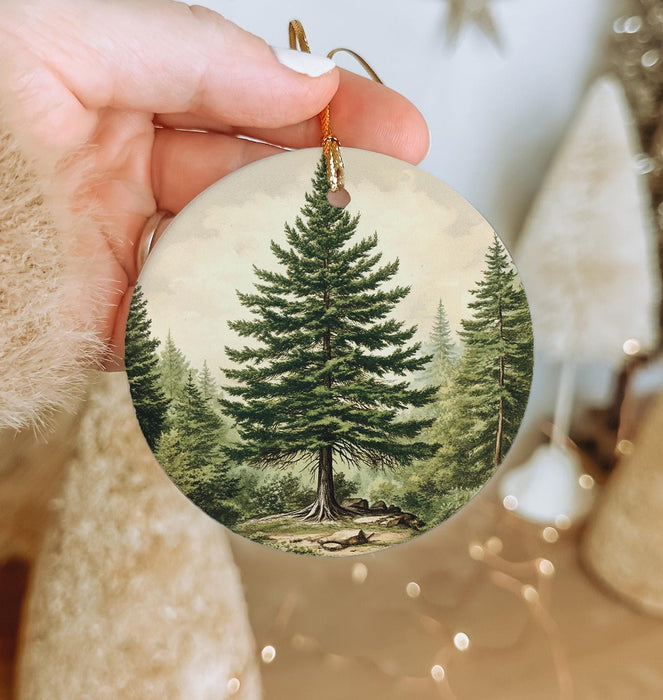 a hand holding a christmas ornament with a picture of a pine tree