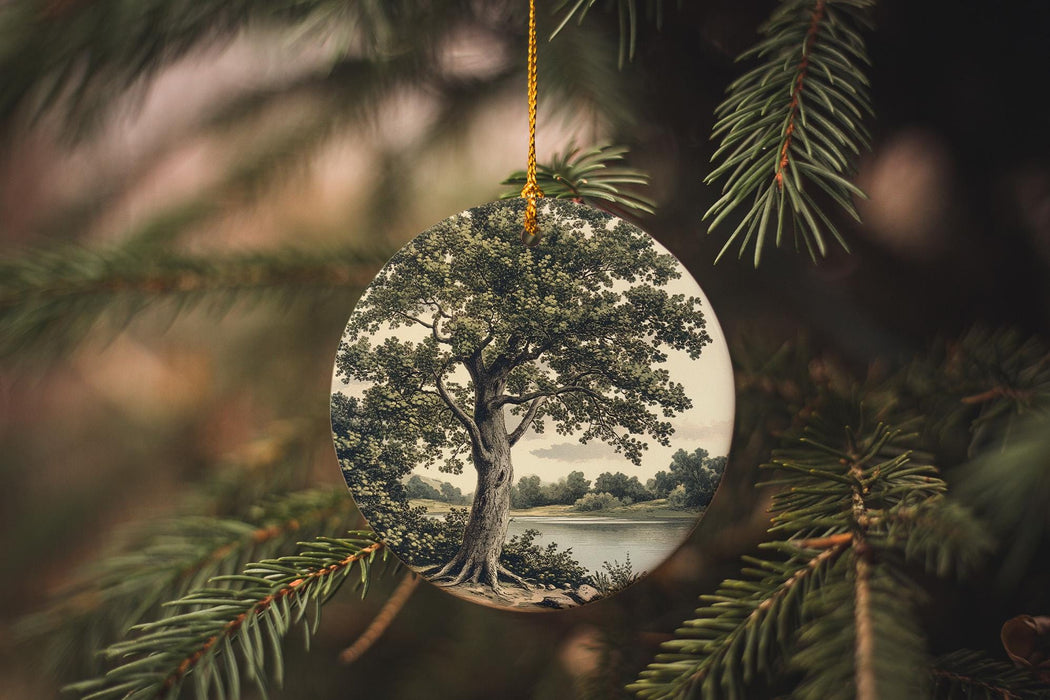 a glass ornament hanging from a christmas tree