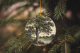 a glass ornament hanging from a christmas tree