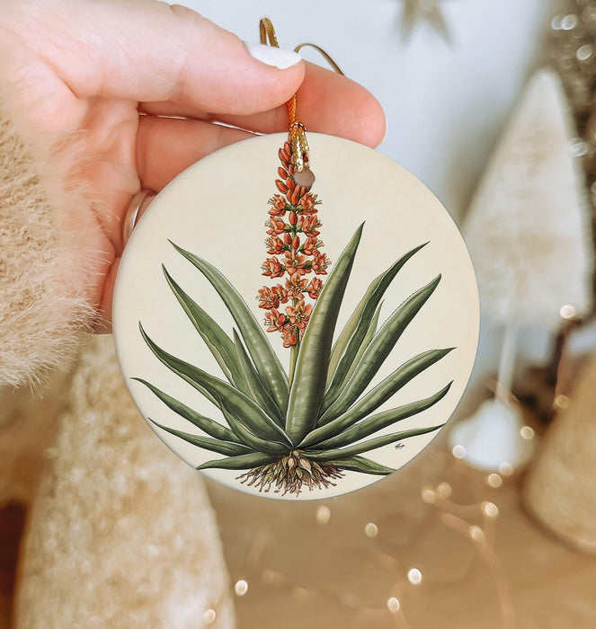 a person holding a christmas ornament with a plant on it