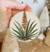 a person holding a christmas ornament with a plant on it