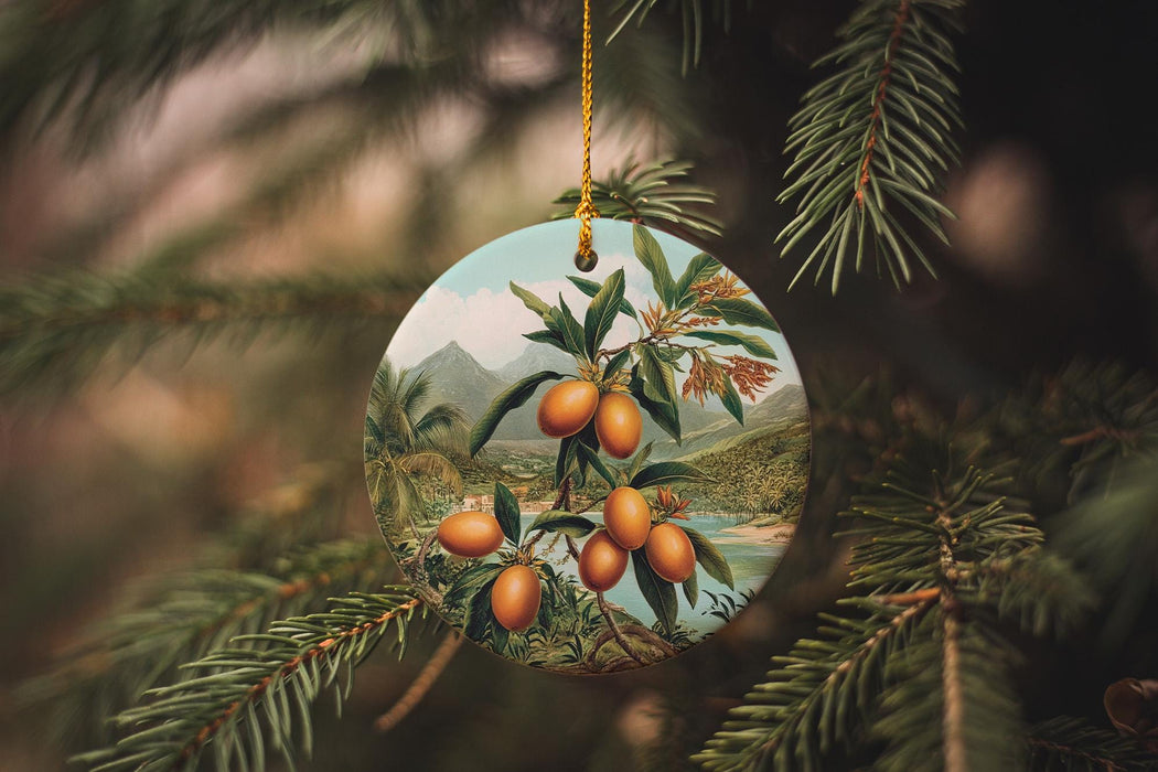 a glass ornament hanging from a pine tree
