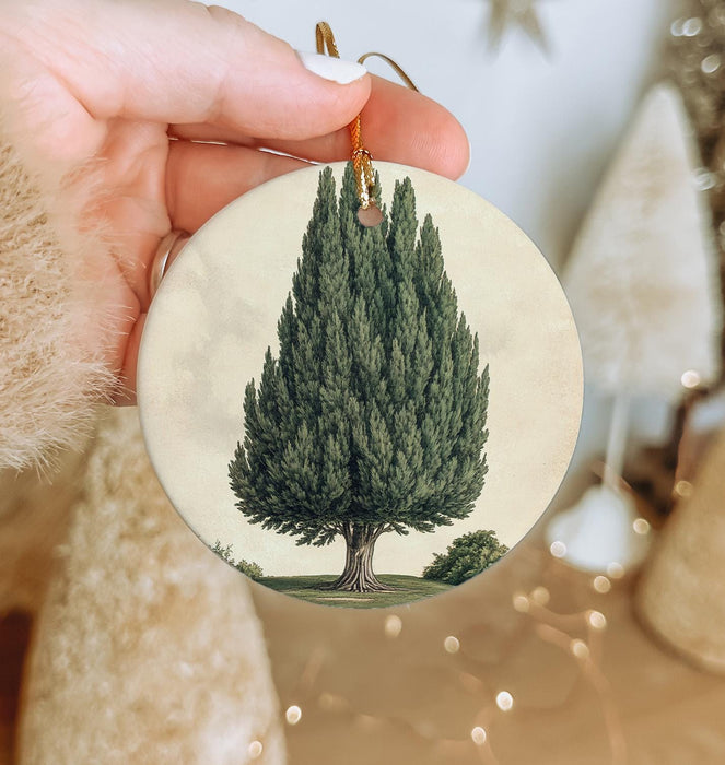 a hand holding a christmas ornament with a tree on it