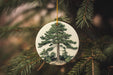 a christmas ornament hanging from a tree