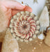 a person holding a christmas ornament with a flower on it