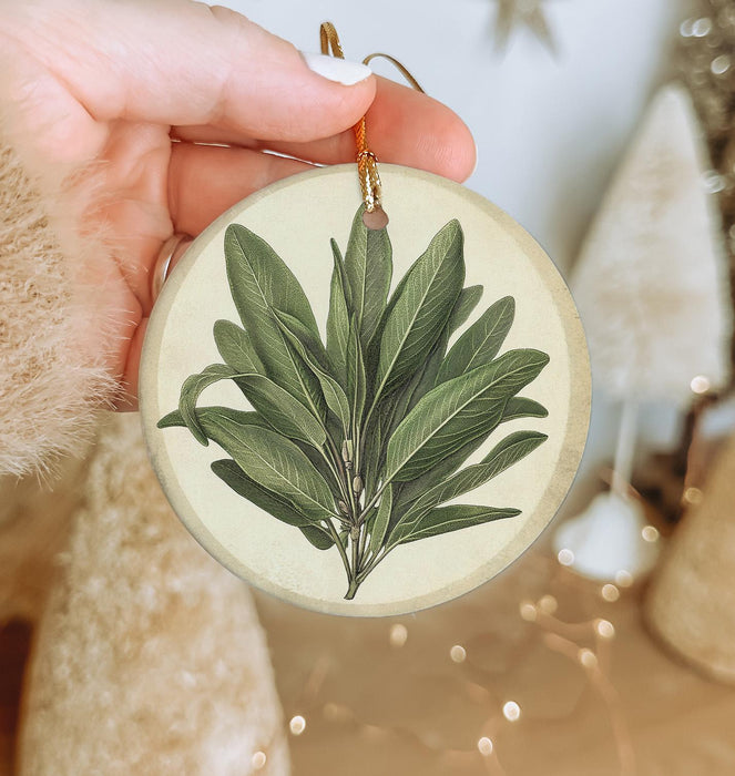 a person holding a christmas ornament with a green plant on it