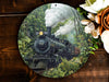 a painting of a train traveling through a jungle