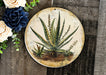 a plate with a picture of a plant on it