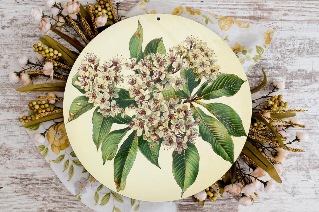 a picture of a bunch of flowers on a plate