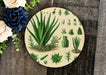 a plate with a succulent plant on it next to a bouquet of flowers