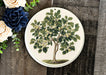 a white plate with a tree painted on it
