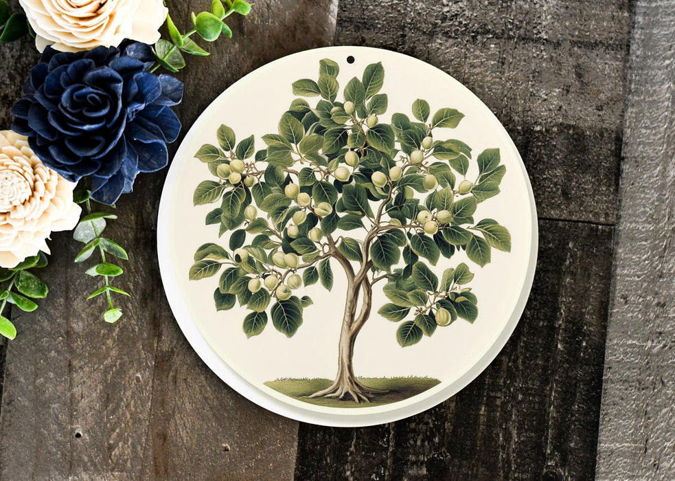 a white plate with a tree painted on it