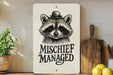a picture of a raccoon with a hat on it