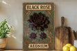 a picture of a flower on a shelf