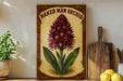 a picture of a flower on a shelf