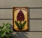 a sign on the side of a building that says naked man orchid