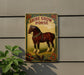 a picture of a horse on the side of a building