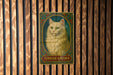 a picture of a cat on a wooden wall