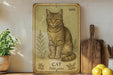 a picture of a cat sitting on a shelf