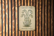 a sign on a wooden wall that says ghost pipe