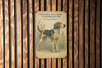 a picture of a dog on a wooden wall