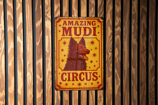a sign on a wooden wall that says amazing mudi circus