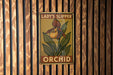 a sign on a wooden wall that says lady's slipper orchid