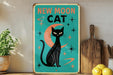 a picture of a black cat sitting on a shelf