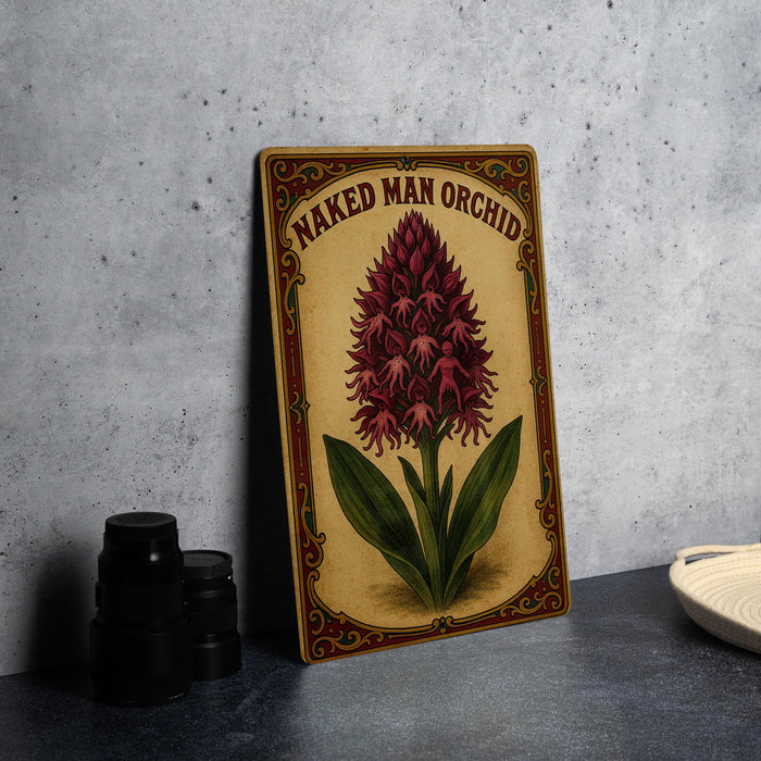 a picture of a naked man orchid on a table