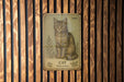 a picture of a cat on a wooden wall