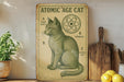 a picture of a cat sitting on a shelf