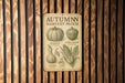 a sign on a wooden wall that says autumn harvest patch