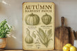a vintage poster of autumn harvest patches on a shelf