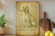 a picture of a dog sitting on a shelf
