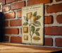 a picture of a plant on a brick wall