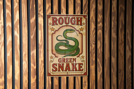 a poster with the text "ROUGH GREEN SNAKE" and an illustration of a green snake.