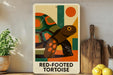 a poster of a red-footed tortoise on a wall, with a wooden cutting board and a potted plant to the side.